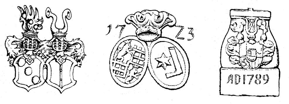 Štěnovice hrad, tvrz a zámek (Edice Zapomenuté hrady, tvrze a místa)