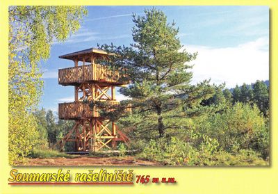 Soumarské rašiliniště 745 m n.m. (žlutá)