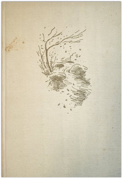 Dole hučí Kamenice