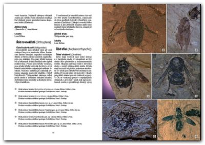 Třetihorní fauna severočeské hnědouhelné pánve