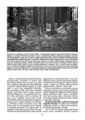 Štandl - zbytky hrádku a tvrze západně od Frýdku-Místku
