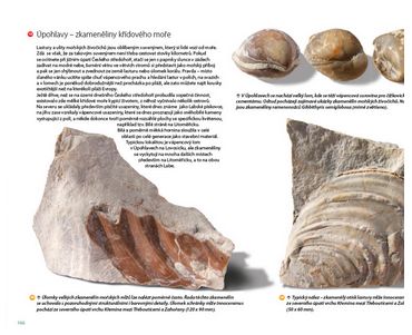  Tajemství Českého středohoří