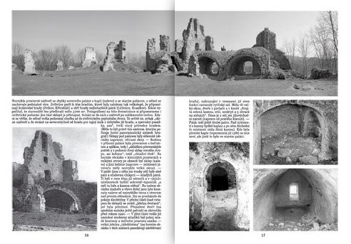 Zvířetice - zřícenina hradu-zámku jižně od Bakova nad Jizerou