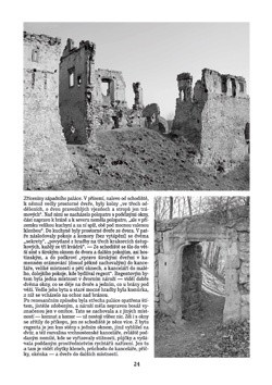 Zvířetice - zřícenina hradu-zámku jižně od Bakova nad Jizerou